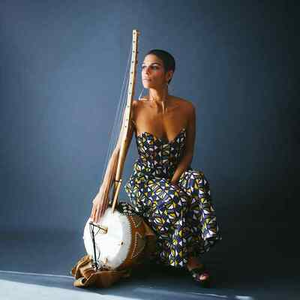 Illustration Siân Pottok - Wild and Savage