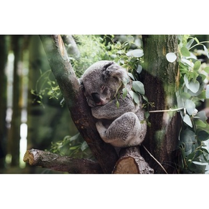 Illustration Sieste Littéraire