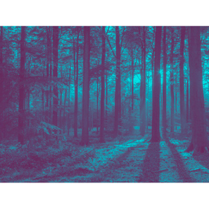 Illustration Sieste poétique pour petites oreilles éveillées