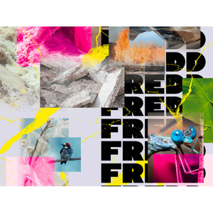 Illustration Silence ! Préservons les écosystèmes