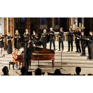 Illustration Soleils | Château de La Batisse