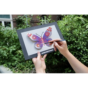 Illustration Somptueux Papillons