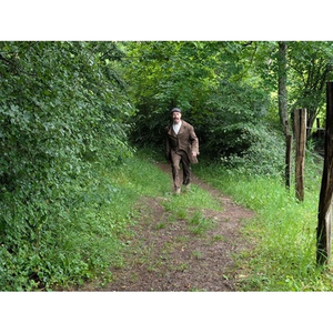 Illustration Sous-Bois