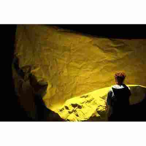 Illustration Sous la surface - Cie Écailles