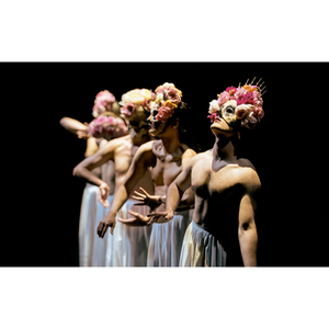 Illustration Sous les fleurs | La Comédie de Clermont