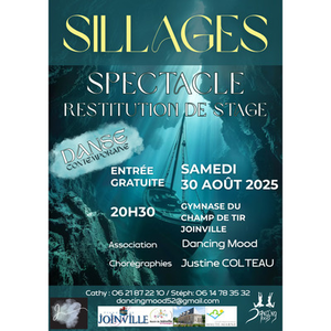 Illustration Spectacle de danse contemporaine