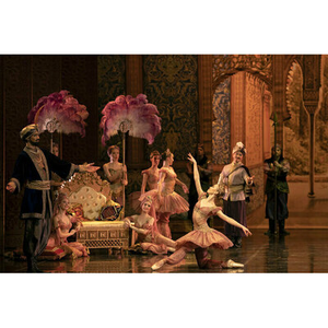 Illustration Spectacle de danse "Le Corsaire"