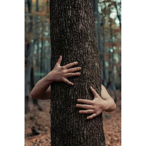 Illustration spectacle de théâtre et musique : La forêt danse