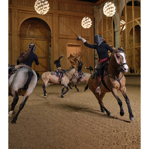 Illustration Spectacle équestre "La Voie de l'écuyère - Opus 2025" Conception Bartabas