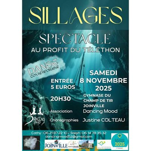 Illustration Spectacle Sillage au Profit du Téléthon