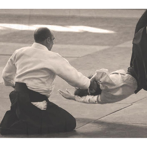Illustration Stage d'Aikido dirigé par Antonio Barbas Senseï