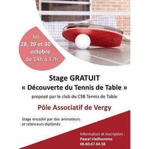 Illustration Stage gratuit « Découverte du Tennis de Table »
