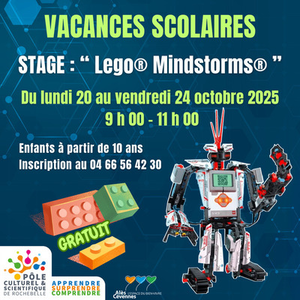 Illustration Stage Vacances Scolaires "Robot Lego® Minstorm®"
