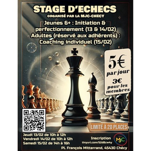 Illustration Stages d'Echecs