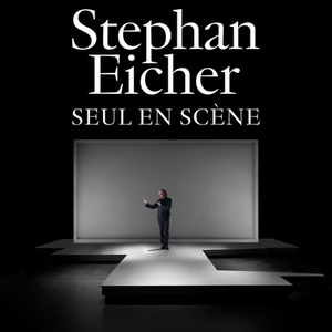 Illustration Stephan Eicher - Seul en scène