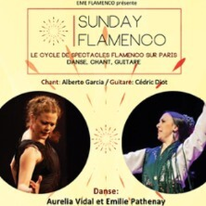 Illustration Sunday Flamenco - Le Cycle de Flamenco sur Paris