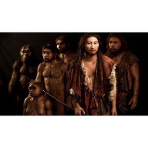 Illustration Sur la trace d’espèces humaines de la taille de “hobbits”