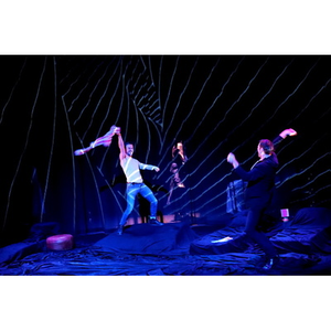 Illustration Takotsubo