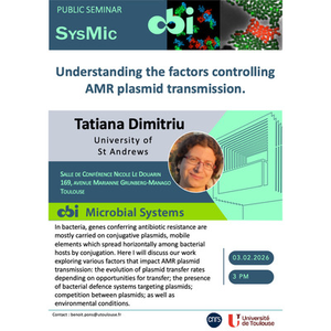Illustration Tatiana DIMITRIU - Understanding the factors controlling AMR plasmid transmission