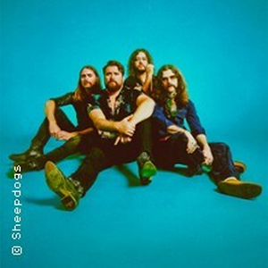 Illustration The Sheepdogs