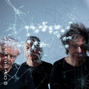 Illustration The Young Gods