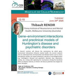Illustration Thibault RENOIR " Gene–environment interactions and preclinical models of Huntington’s disease and psychiatric disorders"