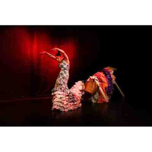 Illustration Thisispain - Hillel Kogan