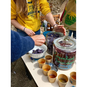 Illustration Tisanes de plantes