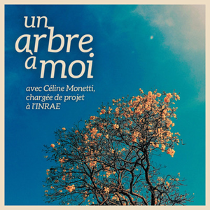 Illustration Un arbre à moi