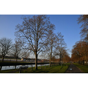 Illustration Un dimanche un quartier : l'Esplanade du Champ de Mars