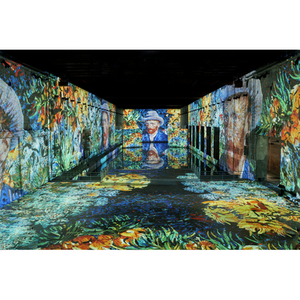 Illustration Van Gogh et Vermeer aux Bassins des Lumières