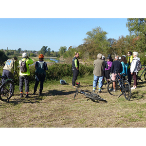 Illustration Vél'Ornitho à Cercey