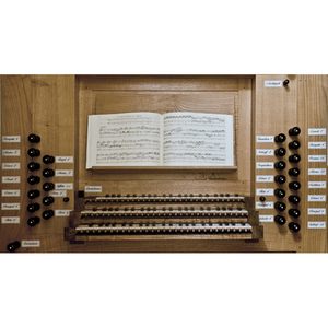 Illustration Vendredi de l'orgue en l'église Saint-Martin