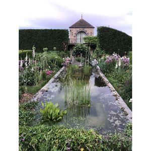 Illustration Venez vivre un jardin de sérénité