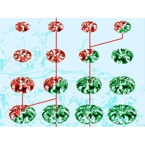 Illustration Vernissage High Volatility