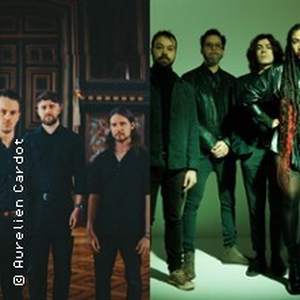 Illustration Vestige