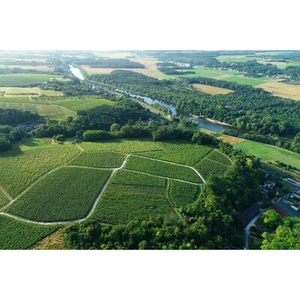 Illustration Vins de Loire : Bienvenue en Touraine !