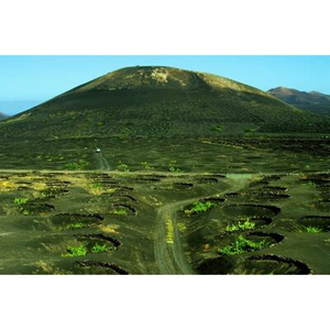 Illustration Vins de terroirs volcaniques