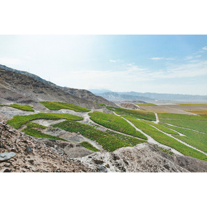 Illustration Vins du Pérou