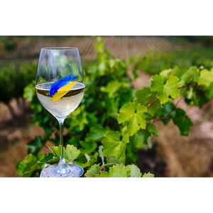 Illustration Vins d’Ukraine