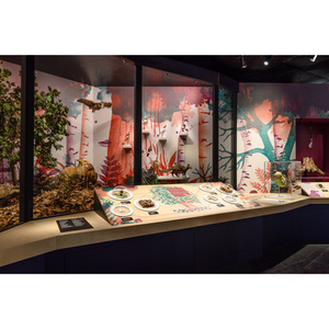 Illustration Visite adaptée de l'espace Biodiversité