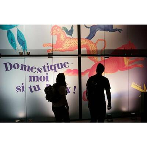 Illustration Visite adaptée de l'exposition "Domestique-moi si tu peux !"