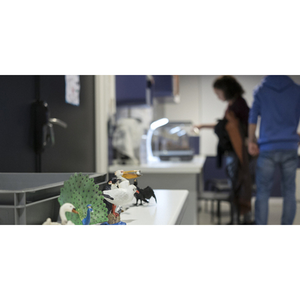 Illustration Visite adaptée de la Réserve pédagogique