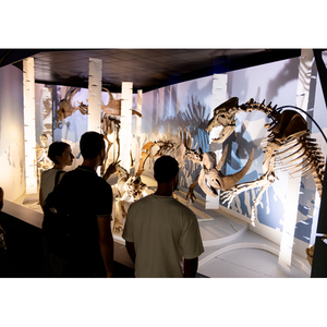 Illustration Visite "Animaux d'autrefroid" en accessibilité