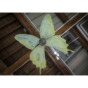 Illustration Visite croisée Capc et Muséum de Bordeaux - sciences et nature