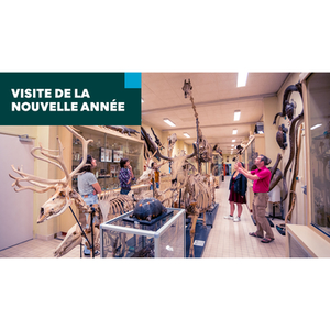 Illustration Visite de la Nouvelle Année