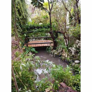 Illustration Visite découverte du jardin botanique à l'anglaise