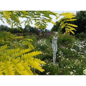 Illustration Visite découverte du jardin botanique