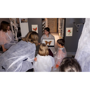 Illustration Visite des Réserves du Muséum pour les tout-petits, en LSF