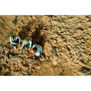 Illustration Visite du site paléontologique de Béon à Montréal du Gers